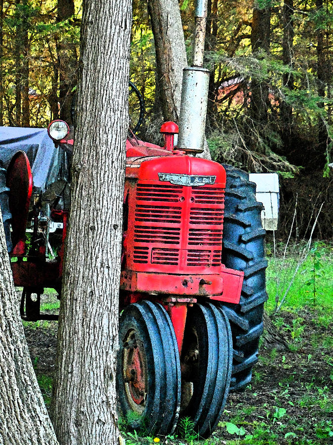 Tractor Tracking - Hope Bay Campground Photograph by Cyryn Fyrcyd