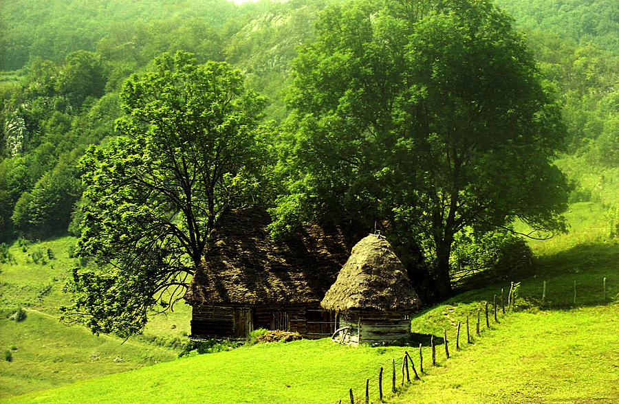 Traditional home in Apuseni Romania Photograph by Emanuel Tanjala ...