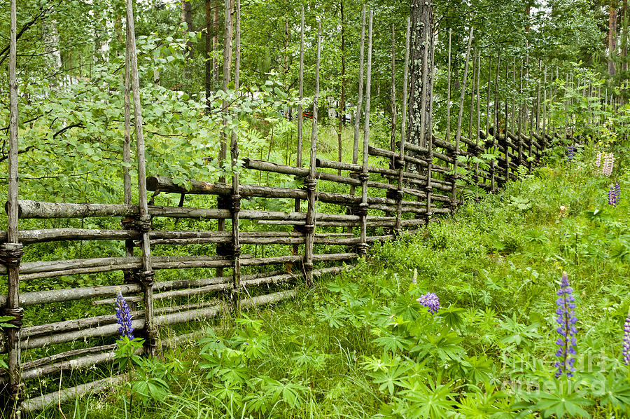 Traditional Swedish Fence Photograph by Micah May