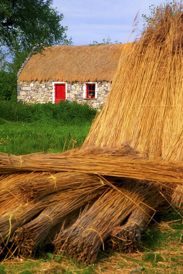 Traditional Thatching, Ireland Photograph by The Irish Image Collection 