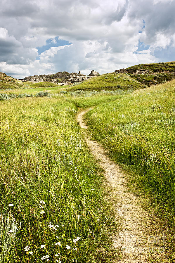 Nature Photograph - Trail in Badlands by Elena Elisseeva