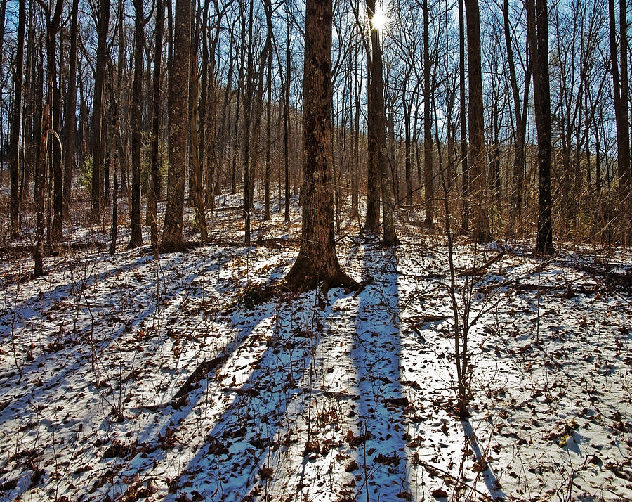 Winter Photograph - Trail in Winter by Susan Leggett