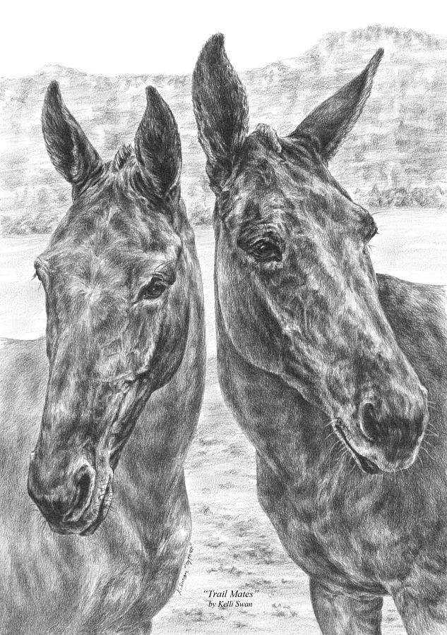 Trail Mates - Mule Portrait Art Print Drawing by Kelli Swan