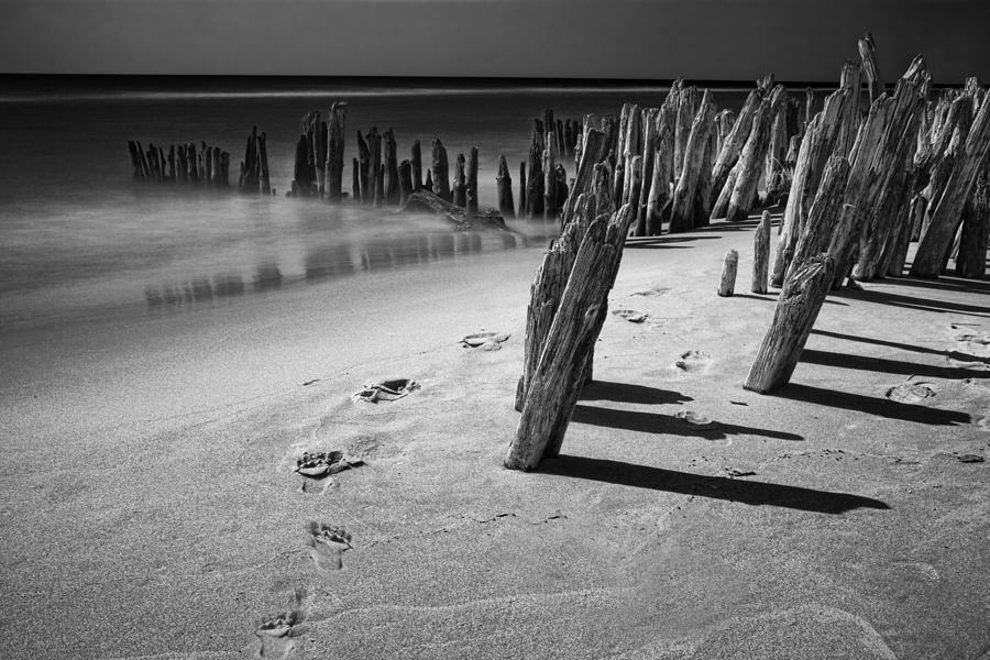Trail of footprints on the beach at Kirk Park Photograph by Randall Nyhof