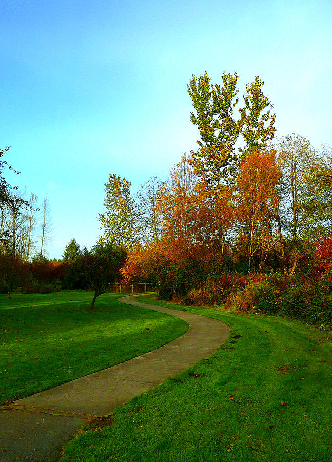 Trail to Autumn Woods Photograph by Lori Seaman