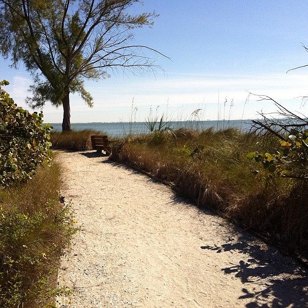Trail To The Beach Photograph by Susan Denne