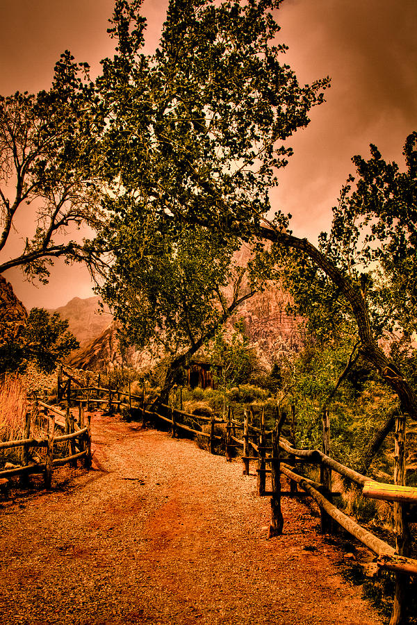 Trail to the Lake at Red Rocks Canyon Photograph by David Patterson