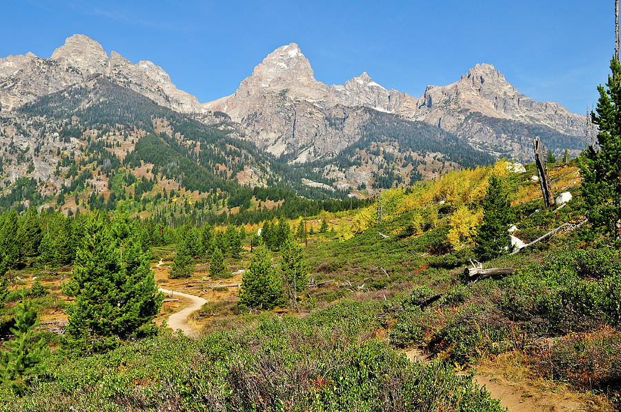Grand Teton National Park Photograph - Trail to the Tetons by Greg Norrell