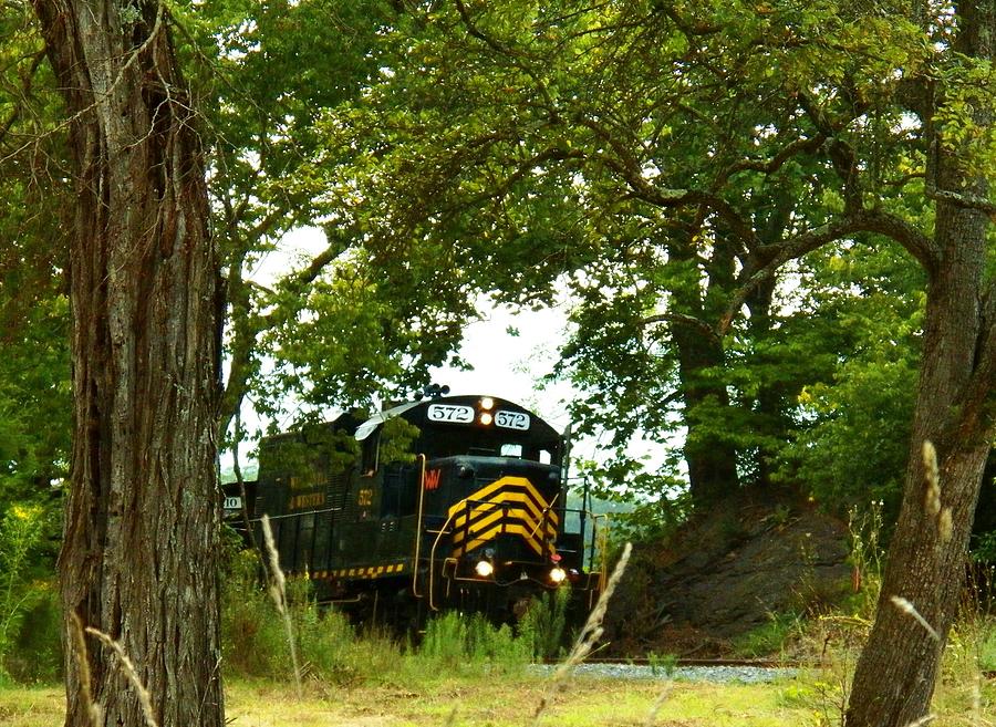 Train by Hogue Creek Photograph by Joyce Kimble Smith