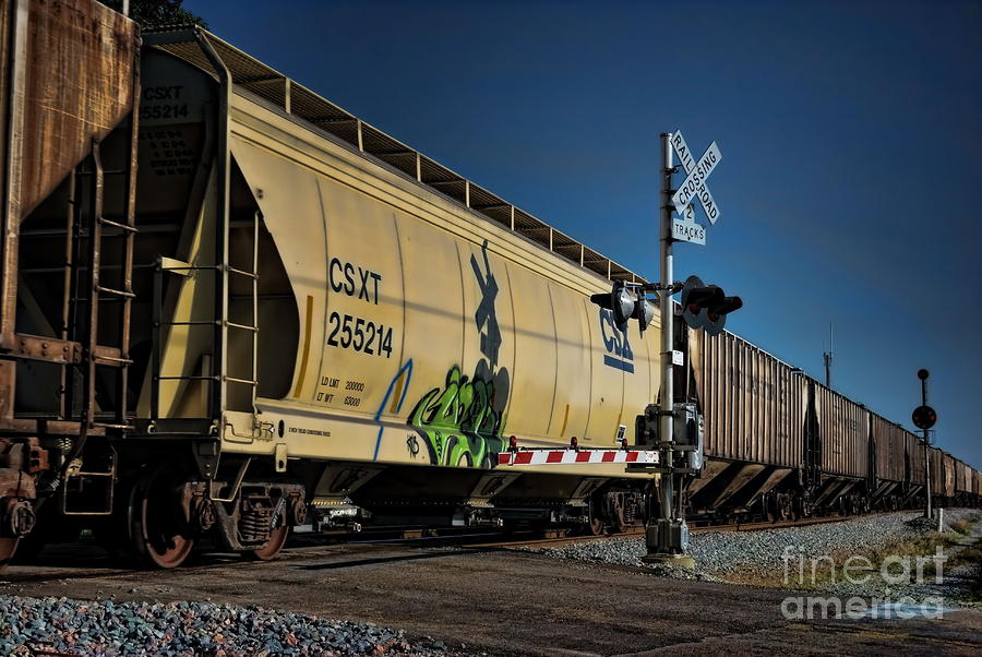 Train Photograph - Train Graffiti by Pamela Baker