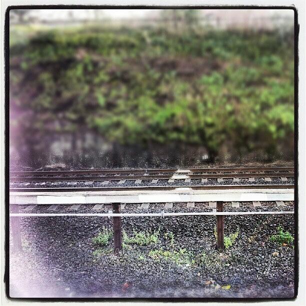 Train Photograph - #train Tracks #instawesome #dulwich by Matti Collins
