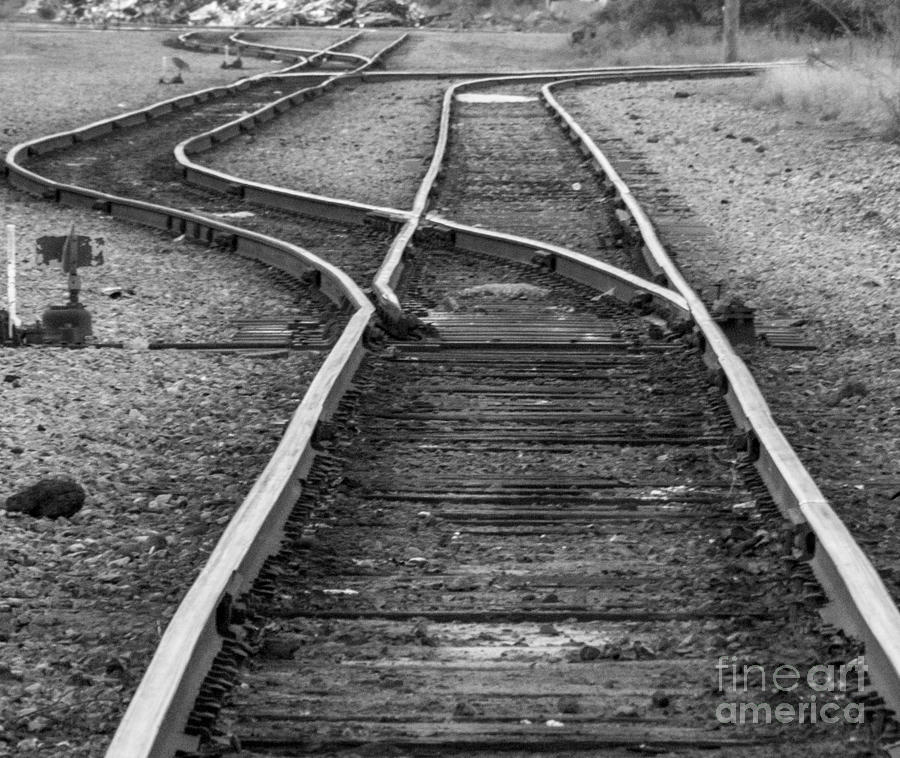 Transportation Photograph - Train Tracks Switch by Darleen Stry