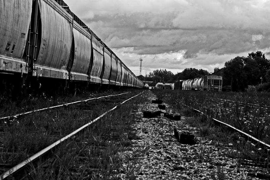 Train Yard Photograph by Randall Cogle