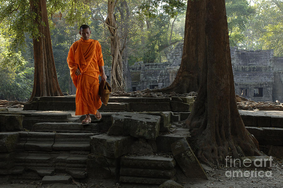 Buddhist Monk Cambodia Photograph by Bob Christopher