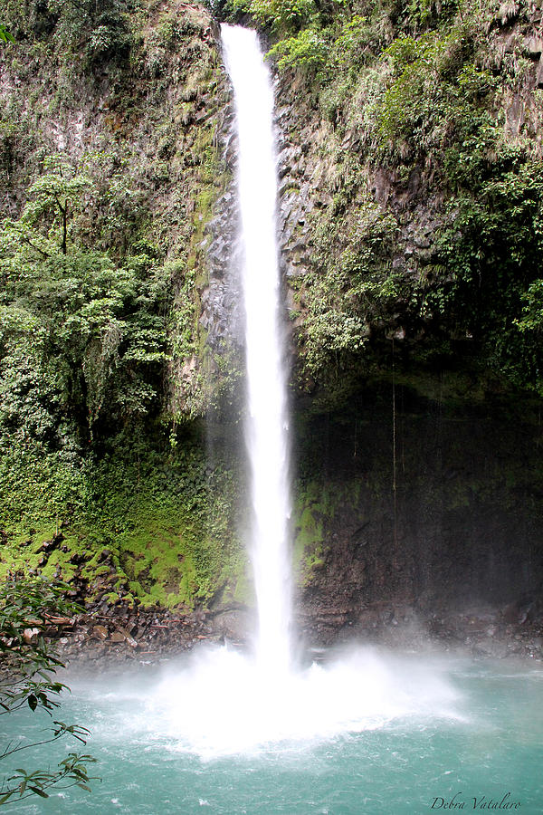 Tranquil Waterfall Photograph by Debra Vatalaro - Fine Art America