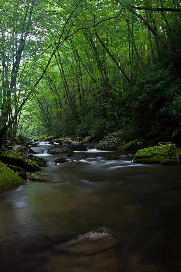 Tranquility in the Great Smoky Mountains National Park Photograph by ...