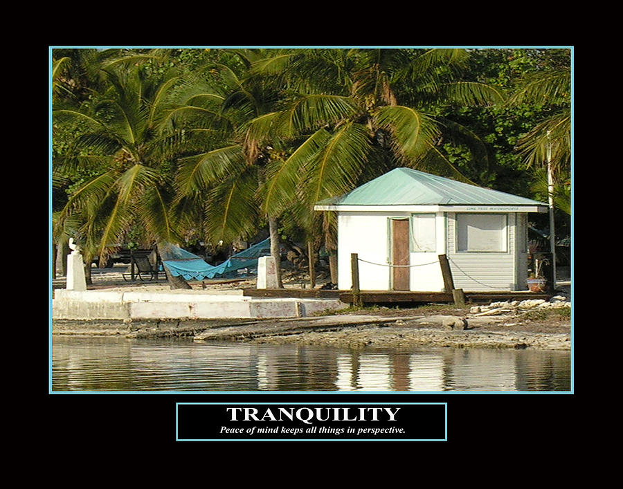 Tranquility by KEVIN BRANT Tranquility by KEVIN BRANT