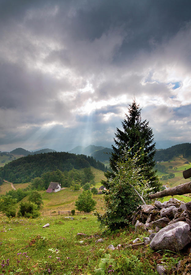 Transylvania Landscape - Romania Photograph by Mircea Costina Photography
