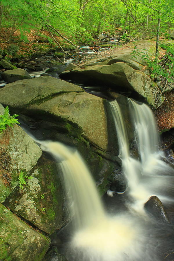 Escape to Serenity: Discover the Enchanting Willard Brook State Forest in Massachusetts