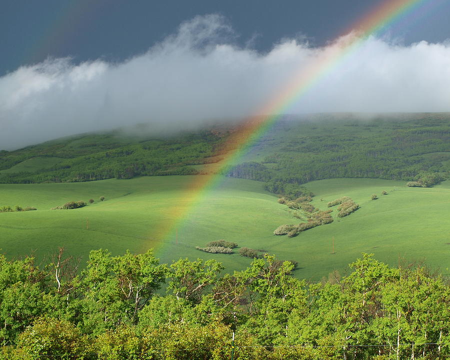 Treasure At The End Of The Rainbow Photograph by Heather Farr