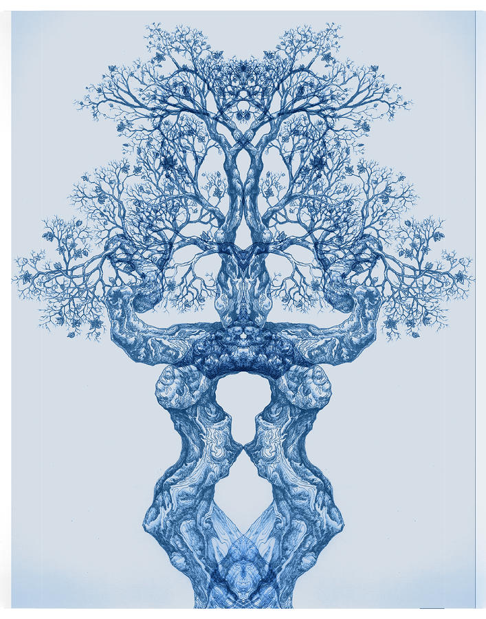 Tree 14 Blue 3 Digital Art by Brian Kirchner