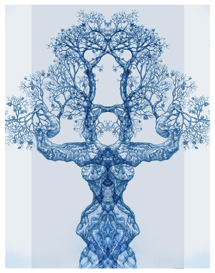 Tree 14 Blue 4 Digital Art by Brian Kirchner