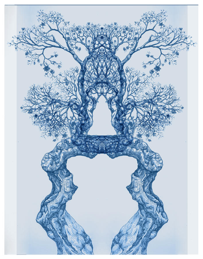 Tree 14 Blue 8 Digital Art by Brian Kirchner