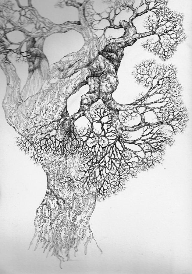 Tree 21 Digital Art by Brian Kirchner