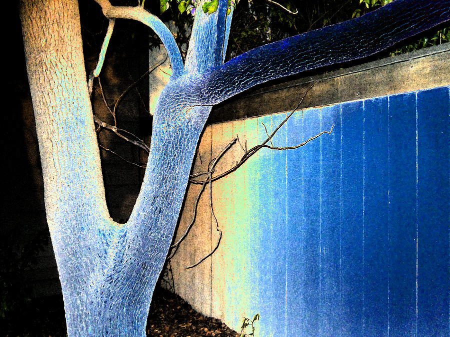 Tree And Fence Digital Art by Eric Forster