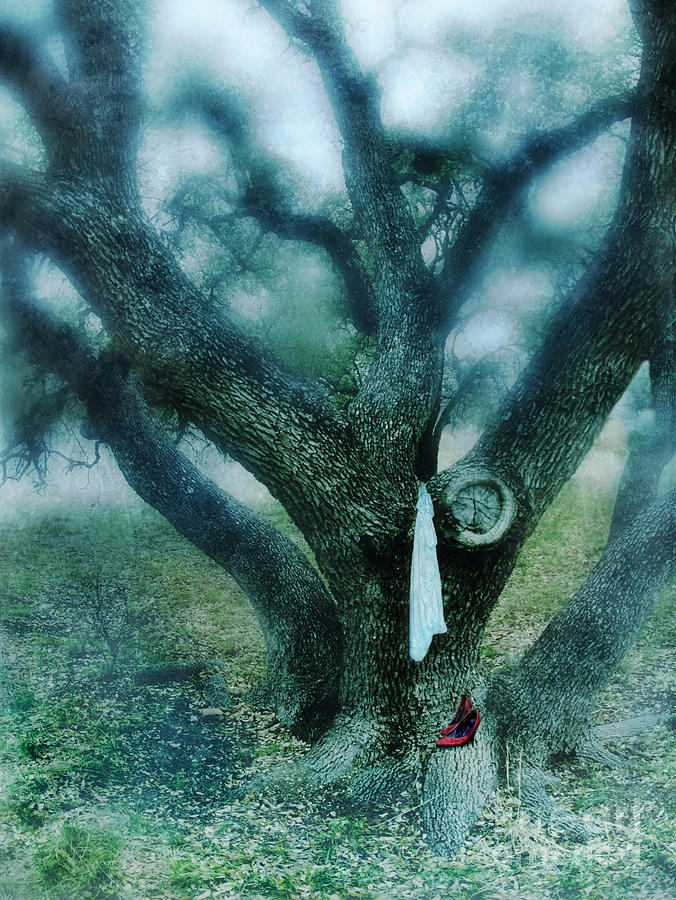 Tree And Red Shoes Photograph by Jill Battaglia