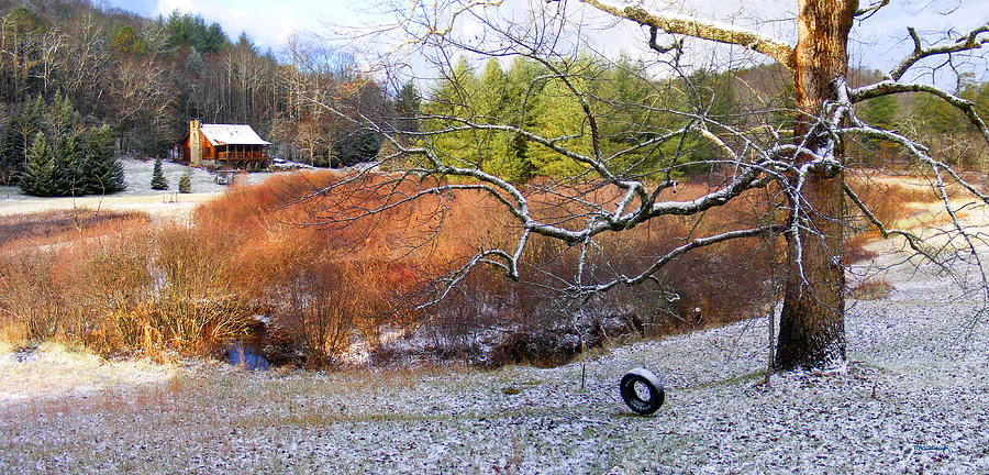 Tree and Tire swing in Winter Photograph by Duane McCullough