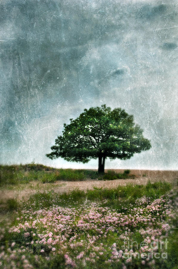 Nature Photograph - Tree and Wildflowers  by Jill Battaglia