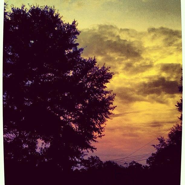 Sunset Photograph - Tree(; #beautiful #sunset #tree #sky by Seth Stringer