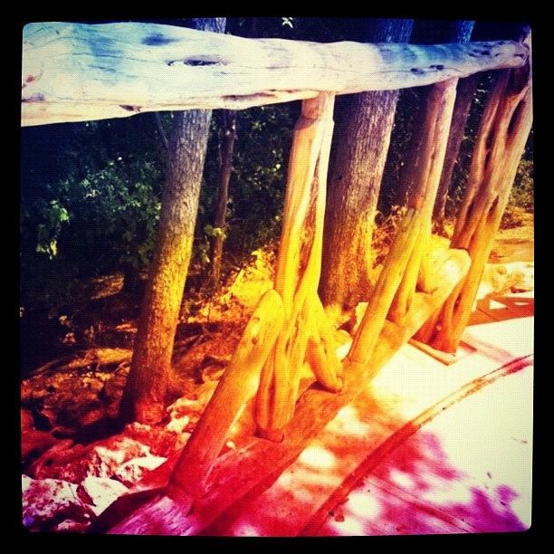 Summer Photograph - Tree Branch Handrails by Kristina Parker
