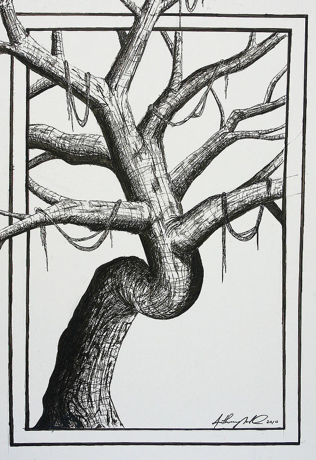 Tree Drawing - Tree Branches out by Anthony Nold