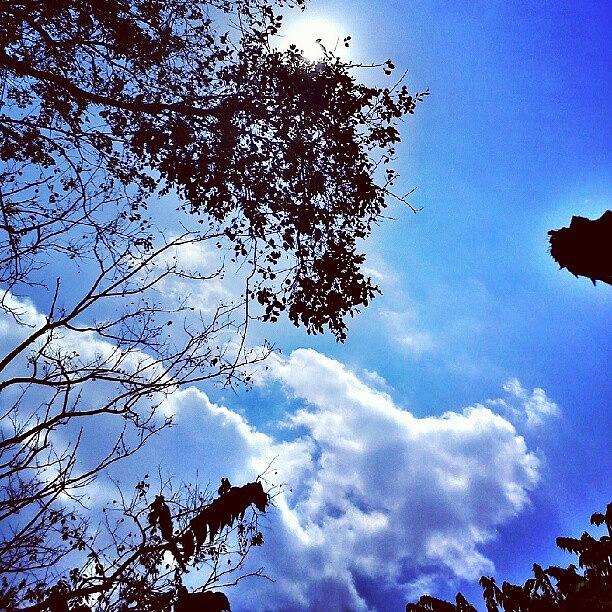 Tree Photograph - #tree #cloud #sky #blue by Inas Shakira