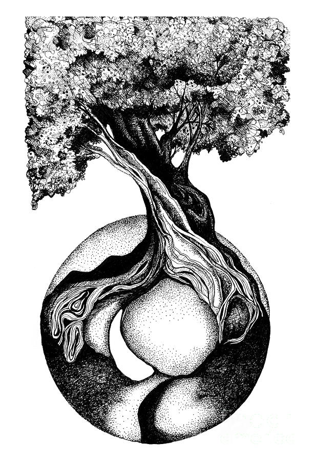 Tree of Life Drawing by Danielle Scott Fine Art America