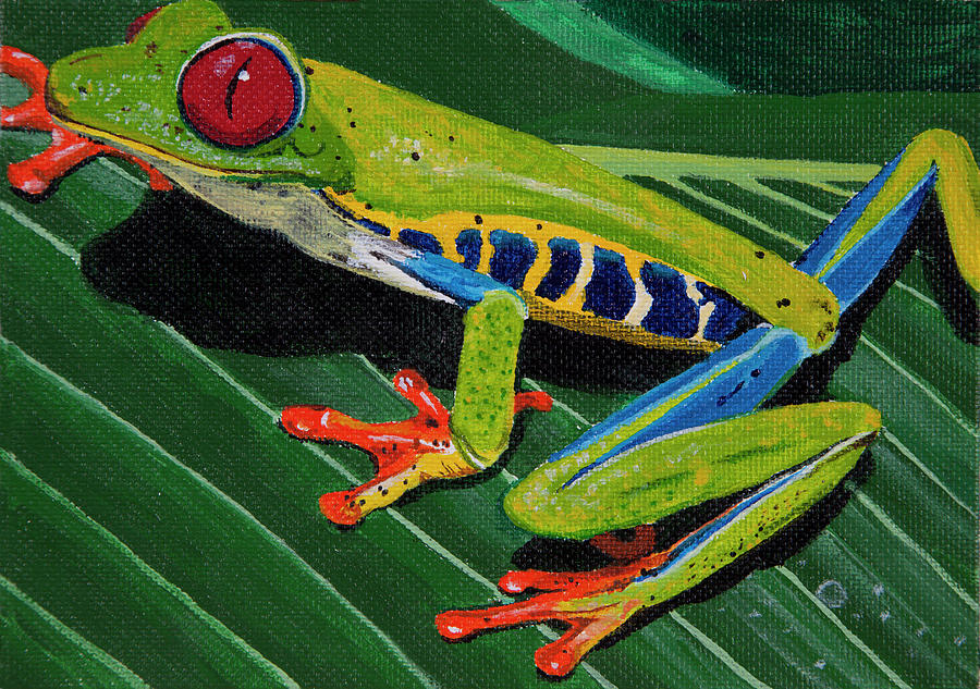 Tree Frog Painting by Sandra Azancot - Fine Art America