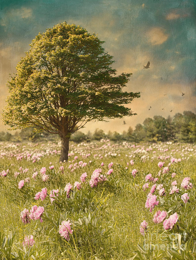 Tree in a field of flowers by Sandra Cunningham