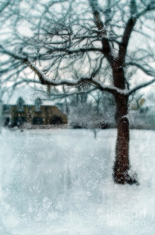 Architecture Photograph - Tree in Snow with Tudor House by Jill Battaglia