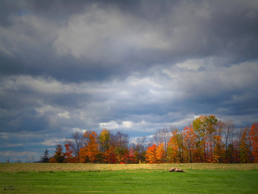 Tree Line on sunset Hill in New Hampshire Photograph by Nancy Griswold