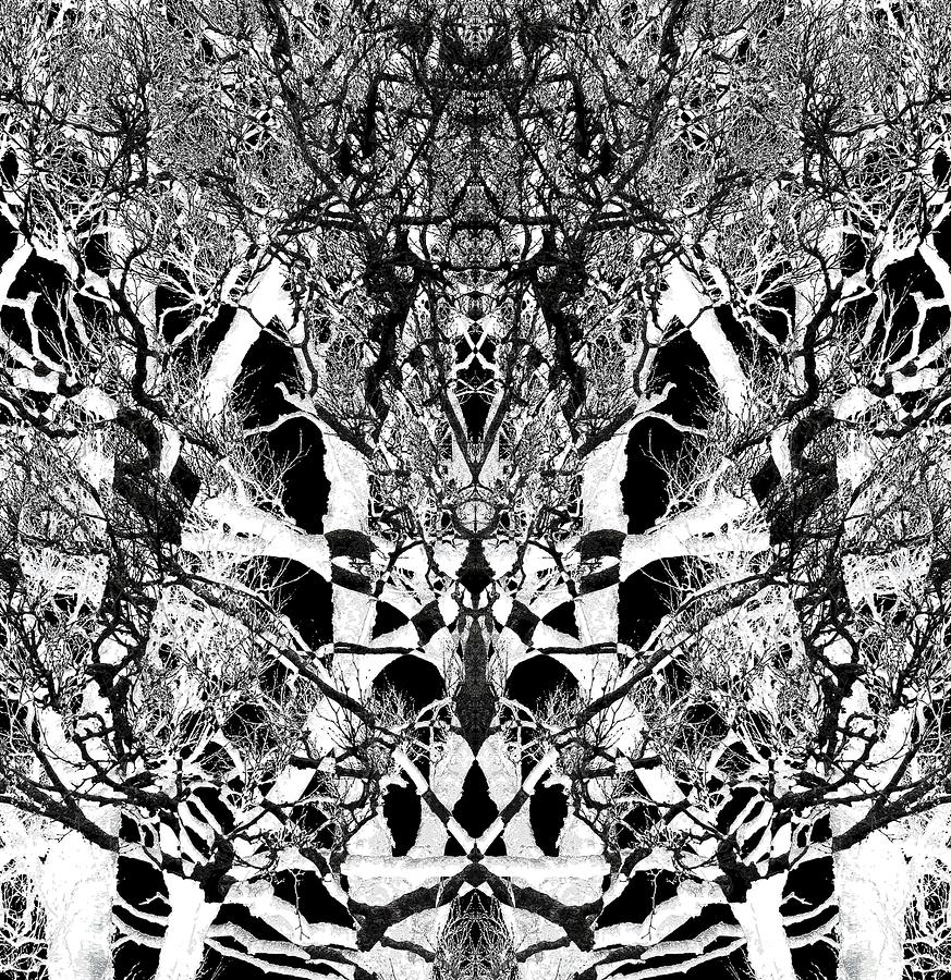 Tree Patterns Digital Art by Michele Cornelius