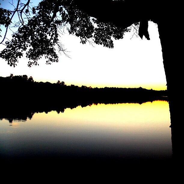Sunset Photograph - #tree #pond #sunset #shore #beautiful by Billy Bateman