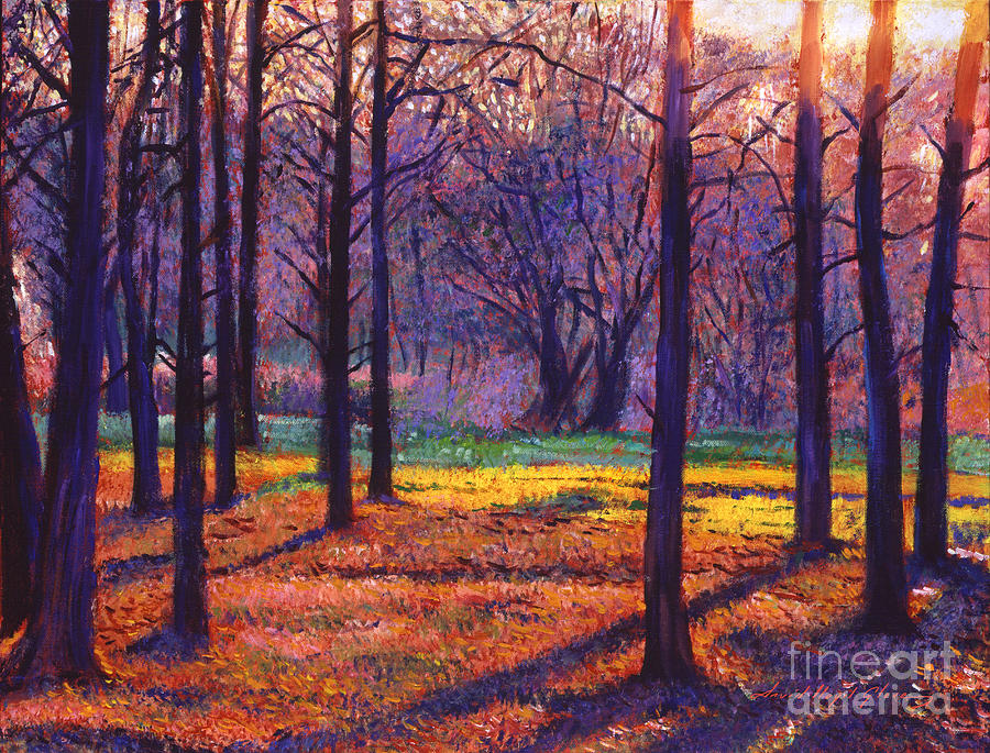 Tree Shadows Painting by David Lloyd Glover