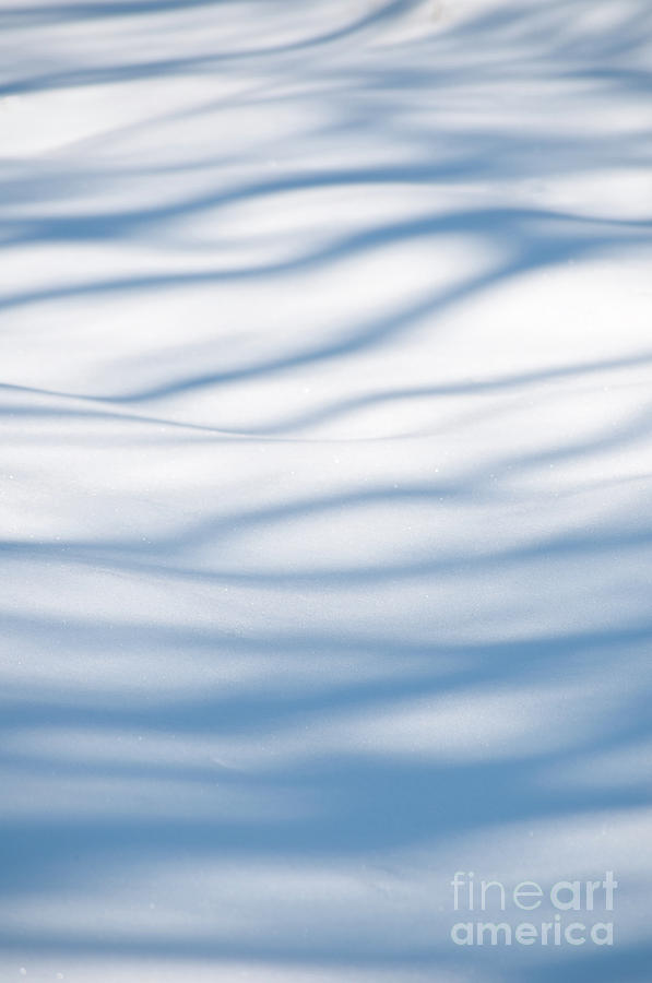 Tree shadows on snow Photograph by Sari ONeal