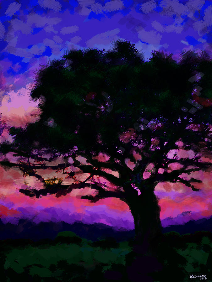 Tree Siluette at Sunset  Digital Art by Fine Art by Alexandra