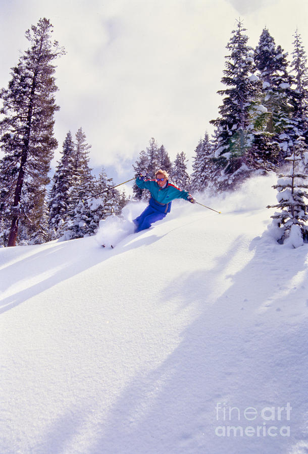 Sports Photograph - Tree Skiing Northstar by Vance Fox