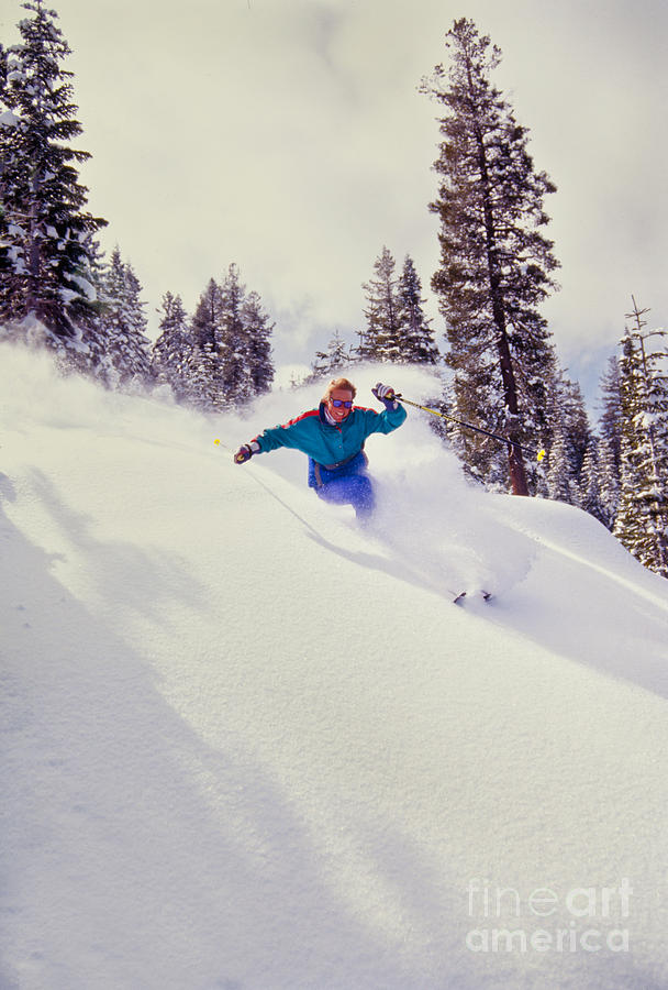 Sports Photograph - Tree Skiing Powder by Vance Fox