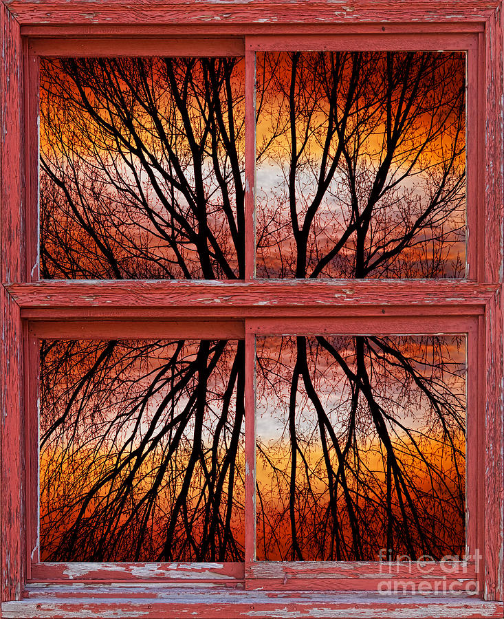 Tree Sunset Abstract Red Rustic Picture Window Frame Photograph by James BO Insogna