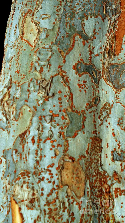 Tree Trunk Paisley Digital Art by Ronald Bissett